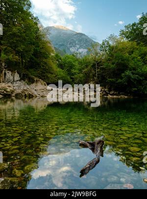 immagine verticale di una piscina naturale all'interno di una foresta con acqua cristallina e alcune montagne sullo sfondo, in primo piano si può vedere un tronco Foto Stock