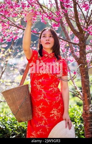 asian lady ritratto rilassarsi in stile cinese a lungo vestito o vietnam accessori contemporanei felice sul luogo mattina Foto Stock