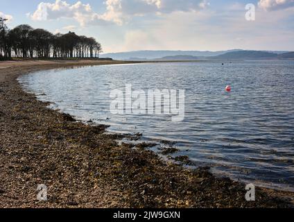 Le alghe costeggiate la riva del Loch Fyne con una vista a sud da Otter Ferry. Argyll e Bute Foto Stock