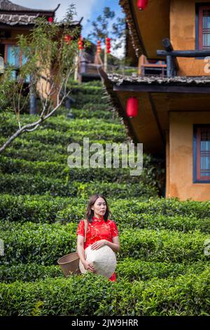 asian lady ritratto rilassarsi in stile cinese a lungo vestito o Vietnam accessori contemporanei felice sul luogo mattina Foto Stock