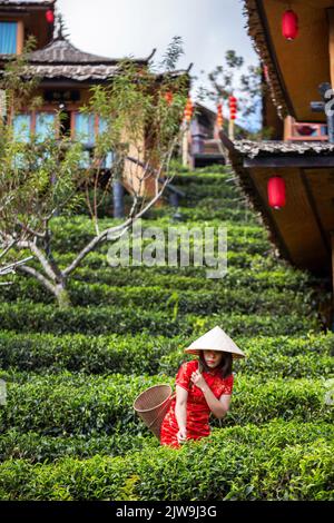 asian lady ritratto rilassarsi in stile cinese a lungo vestito o Vietnam accessori contemporanei felice sul luogo mattina Foto Stock