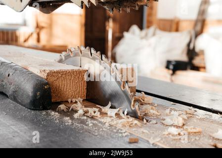 Lavorazione del legno. Sega circolare per tagliare pannelli di pino Foto Stock