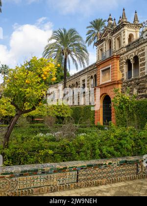 Puerta del Privilegio e Galería del Grutesco, giardini dell'Alcazar di Siviglia Foto Stock