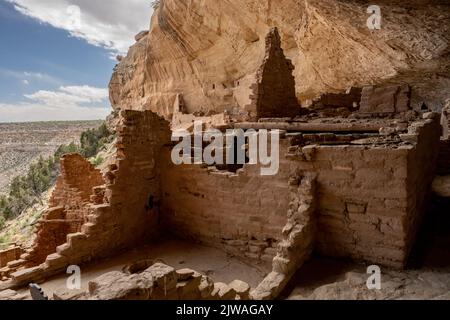 Camere nella lunga casa Cliff dimora del Mesa Verde National Park Foto Stock