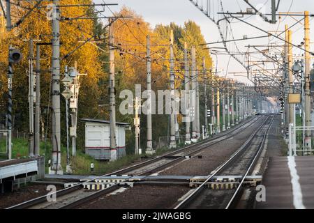 Binari ferroviari vuoti al tramonto, foresta sullo sfondo. Prospettiva di una ferrovia elettrificata ad alta velocità Foto Stock