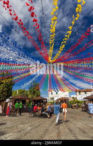 Santana decorata per il festival Madeira Day, Madeira, Portogallo Foto Stock