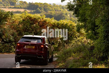 Dartmoor National Park, Devon, Inghilterra, Regno Unito. 2022. Guida in auto attraverso la campagna di Dartmoor a poche miglia a nord di Cornwood, Devon. Foto Stock