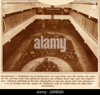 Un paradiso dei fiori nella fondazione Foto Stock