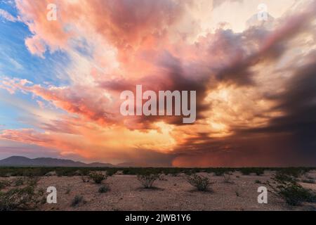 Tramonto della stagione monsonica e tempesta di polvere nel deserto dell'Arizona Foto Stock