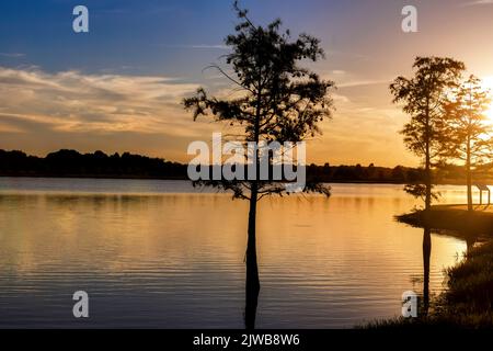 Alberi sulla costa del lago Patriot come i tramonti a Shelby Farms Park, Memphis, Tennessee. Il 3 settembre 2022. Foto Stock