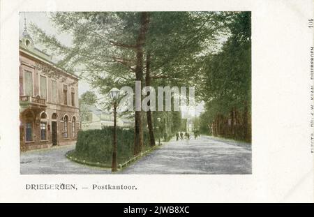 Vista di alcuni campi di lampadine nell'area di Hillegom. Foto Stock