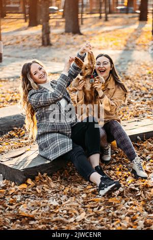 Due ragazze amiche felici che si divertono con il cucciolo di cocker spaniel carino nel parco autunnale. Due allegre donne giovani che abbraccia il cane sulla natura di caduta Foto Stock