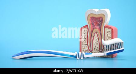 Modello di dente con freccia, pennello e pasta dentaria su sfondo blu. Concetto di protezione dei denti. illustrazione 3d Foto Stock