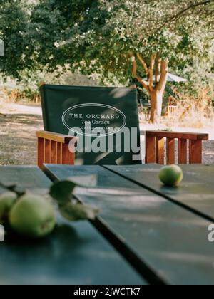 L'Orchard Tea Gardens all'aperto posti a sedere e tavolo con mela caduta con logo e luce appiccicata a Grantchester Cambridge Cambridgeshire Inghilterra UK Foto Stock