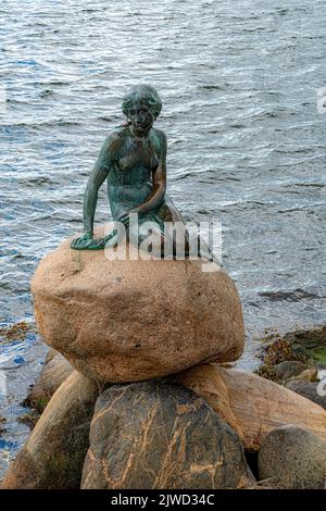 COPENAGHEN, DANIMARCA - 03 SETTEMBRE 2022: La Sirenetta è una statua di bronzo di Edvard Eriksen, raffigurante una sirena che diventa umana. Foto Stock