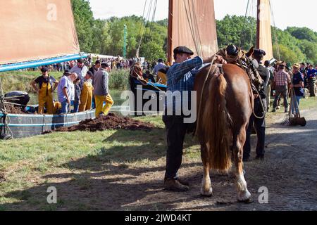 Folklore evento in Plougastel-Daoulas, Brittany ,Fête du maërl à -Plougastel Daoulas ,Bretagne ,Francia Foto Stock