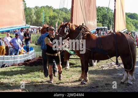 Folklore evento in Plougastel-Daoulas, Brittany ,Fête du maërl à -Plougastel Daoulas ,Bretagne ,Francia Foto Stock