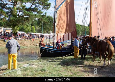 Folklore evento in Plougastel-Daoulas, Brittany ,Fête du maërl à -Plougastel Daoulas ,Bretagne ,Francia Foto Stock