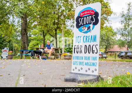 Vista frontale di un cartello in un parco che offre gelato per cani. Foto Stock