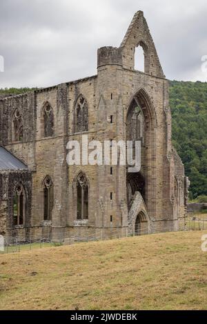 l'abbazia di tintern fondata nel 1131 sulle rive del fiume wye nel galles del monmouthshire Foto Stock