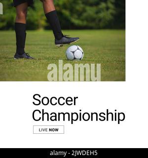 Composizione del testo del campionato di calcio con il giocatore di calcio maschile afro-americano in campo Foto Stock