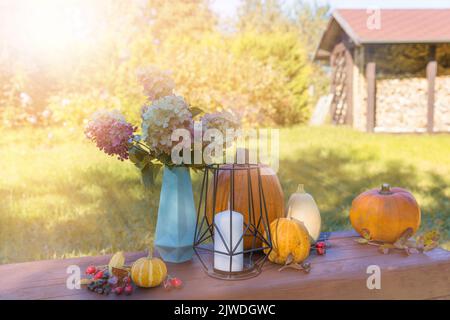 Sfondo autunnale di zucche colorate e decorative, un bouquet di ortensie autunnali, candele, bacche di rowan e fianchi di rosa. Foto Stock