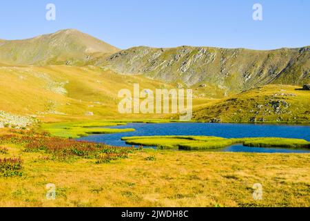 Piccolo lago di montagna incontaminato con cavalli su sentiero escursionistico a lago di roccia nera nel parco nazionale Lagodekhi.Hidden spot gemme in Georgia Foto Stock