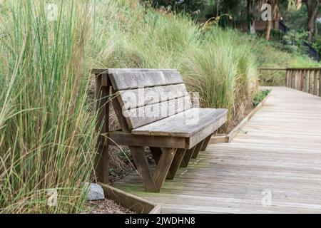 Una panca vuota e tranquilla con erba alta dietro di essa senza nessuno al parco per famiglie Wright a Bluffton, South Carolina Foto Stock