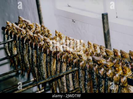 DANIMARCA Bornholm pesce affumicato direttamente dal fumo ai piatti del pranzo turistico Foto Stock