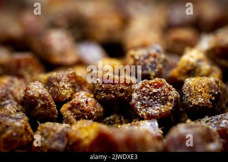 Primo piano estremo di pane di ape. Messa a fuoco selettiva. Profondità di campo poco profonda Foto Stock