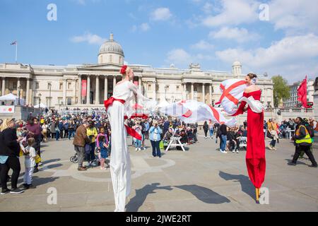 La gente guarda spettacoli acrobatici mentre si riuniscono per le celebrazioni del giorno di San Giorgio a Trafalgar Square, nel centro di Londra. Foto Stock