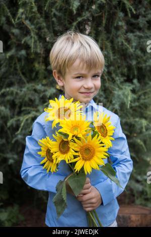 Il ragazzo prescolare in camicia blu contiene un bouquet di girasoli gialli in fiore. Bouquet patriottico. Gratitudine. Festa della mamma. Sostegno all’Ucraina. Stop th Foto Stock