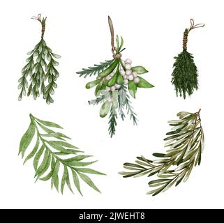 Acquerello di Natale set floreale. Rametti verdi diferenti e foglie di agrifoglio, bacche bianche, rami di oliva e abete rosso Foto Stock