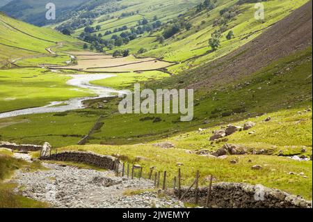 Pista nella valle di Longsleddale, Lake District, Cumbria Foto Stock