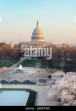 Capitol Building Washington DC. I ciliegi fioriscono in piena fioritura nel National Mall. Edificio governativo degli Stati Uniti. Vista prospettica alta Foto Stock