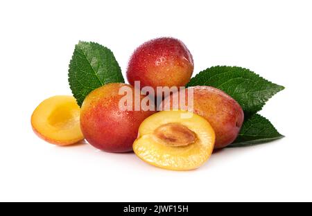 prugne con foglie isolate su bianco. prunus domestica victoria Foto Stock