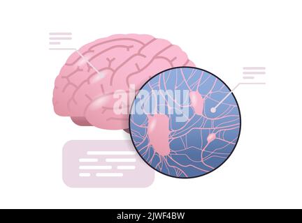 spiegazione dettagliata struttura anatomica del cervello corpo umano interno organo anatomia medicina concetto sanitario Illustrazione Vettoriale