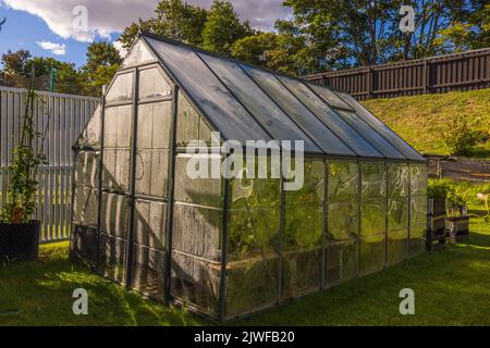 Vista ravvicinata della serra con pannelli in plastica appannata sul cortile della casa il giorno dell'autunno. Svezia. Foto Stock