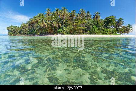 Isola tropicale Cayo Zapatilla, Panama Foto Stock