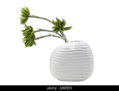Pianta artificiale in vaso su fondo bianco. Foto Stock