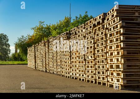 Pile di pallet in legno in un deposito di fabbrica. Pallet per il trasporto di merci in un'azienda di trasporto. Foto Stock