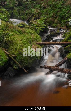 Cascata di San Wolfgang nei pressi della città di Vyssi Brod nella Boemia meridionale vicino al confine con l'Austria Foto Stock