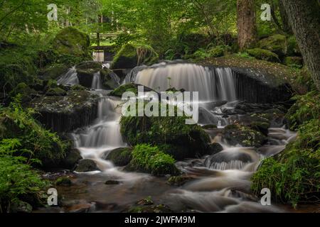 Cascata sotto la porta d'acqua nei pressi della città di Vyssi Brod in estate nuvoloso fresco giorno Foto Stock