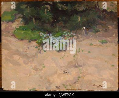 Dimentica-me-not. Trusz, Iwan (1869-1941), pittore Foto Stock