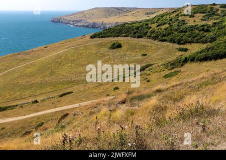 Vista dalle colline sopra la danzante sporgenza, Langton Matravers, Dorset, Regno Unito, estate, siccità Foto Stock