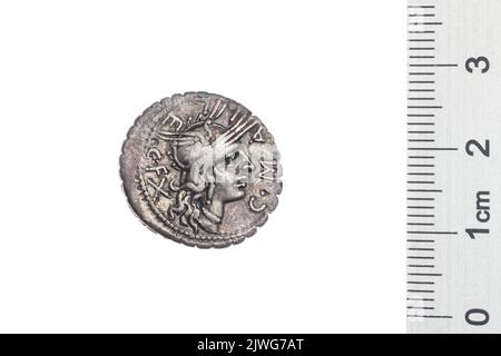 denarius (serratus). Publicius malleolus, C. (fl. 118 a.C.), agente monetario, Domitius Ahenobarbus, CN. (fl. 118-96 a.C.), agente monetario, Licinius Crassus, L. (fl. 118 a.C.), agente monetario, Republika Rzymska, emittente Foto Stock