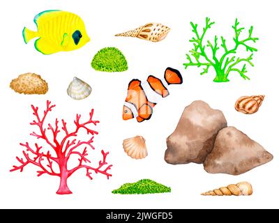 Grande set di elementi marini, oceani, acquari, acquerelli marini. Pesci esotici, conchiglie, coralli, scogliera subacquea. Raccolta di clipart isolate su bianco b Foto Stock