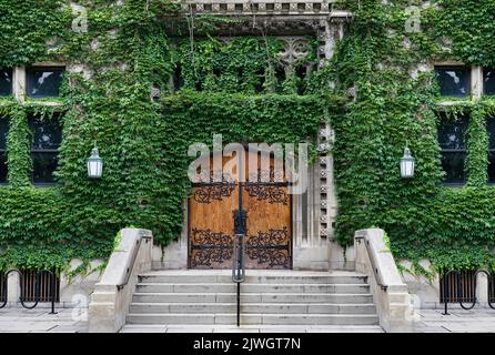 Ingresso all'antico palazzo in pietra in stile gotico coperto di edera Foto Stock