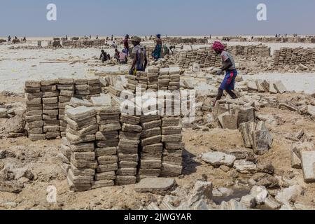 DANAKIL, ETIOPIA - 24 MARZO 2019: Minatori di sale di tribù afar nella depressione di Danakil, Etiopia. Foto Stock
