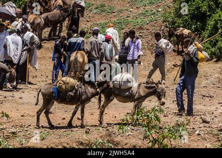 LALIBELA, ETIOPIA - 30 MARZO 2019: Asini al mercato di sabato a Lalibela, Etiopia Foto Stock